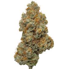northern lights strain